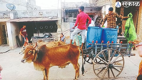Youth trying to alleviate the shortage by bringing water with a bullock cart.