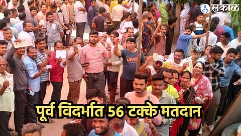 Loksabha Election Voting