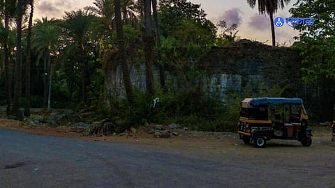 Vasai: वसईकरांनो लक्ष द्या, बिबट्याच्या भितीने 'हा' प्रमुख रस्ता सायंकाळी राहणार बंद