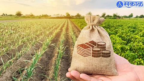Crop Loan