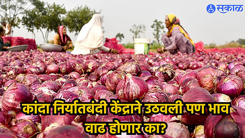 Onion Export News