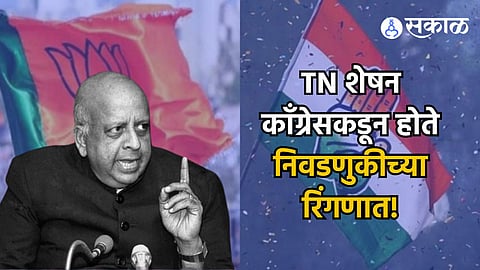 TN Seshan
