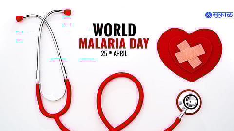 World Malaria Day 2024: