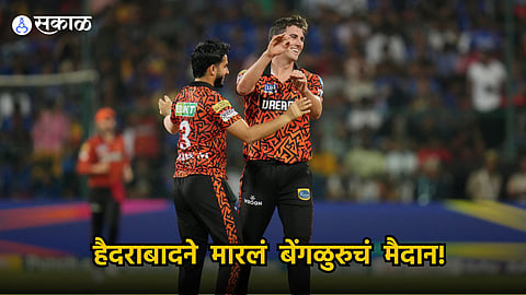 RCB vs SRH | IPL 2024