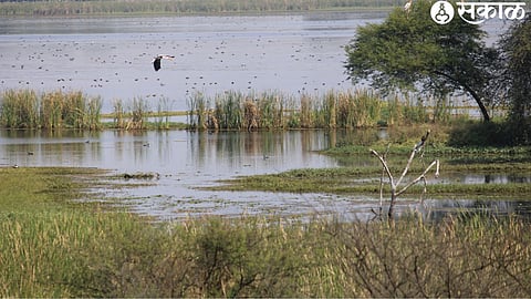 Nandur Madhyameshwar
