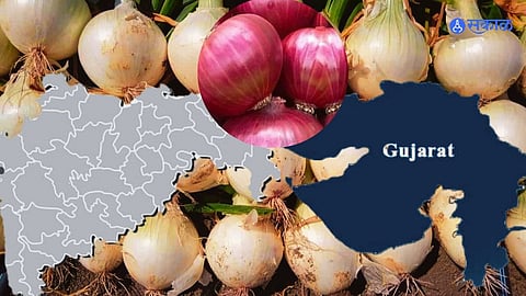 Onion News: महाराष्ट्राच्या कांद्यावर निर्यातबंदी, पण गुजरातचा कांदा होणार एक्सपोर्ट, मोदी सरकारचा निर्णय