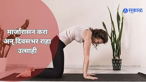 Marjaryasana Benefits: