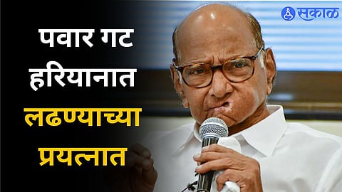 NCP Sharad Pawar :