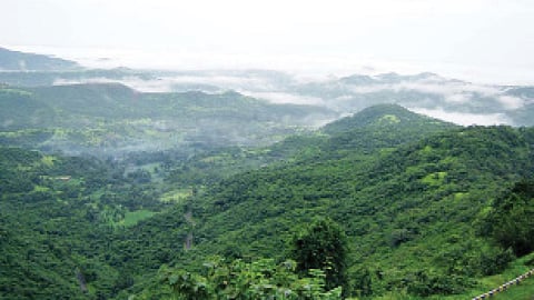 निसर्ग रक्षणासाठी वाघाचे कवच