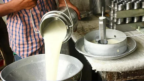 Milk Producing Farmers