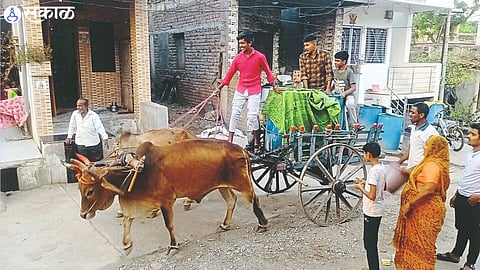 Kapdane Young people bring water with bullocks as there is no water in the taps in village street