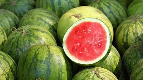 Watermelone