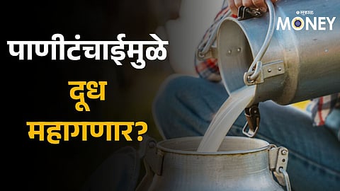 Milk prices to soar as water scarcity hits production