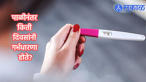 Pregnancy Tips : पाळीनंतर किती दिवसांनी गर्भ राहतो?; बाळासाठी प्रयत्न करणाऱ्या जोडप्यांना माहिती असायलाच हव्यात या गोष्टी 