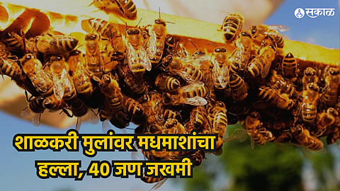 Bees Attack School Children