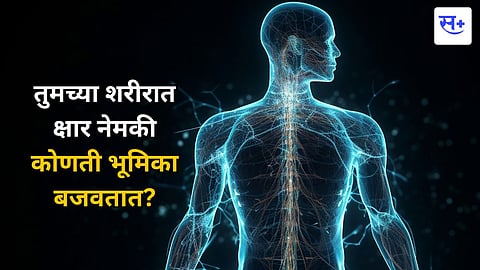 तुमच्या शरीरात क्षार नेमकी कोणती भूमिका बजवतात? क्षारांचा समतोल नसेल तर? डॉक्टर सुचवितात हे उपाय 