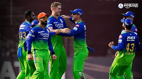 IPL 2024 Playoffs Scenario RCB