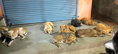 नागरीकांची बातमीदारी