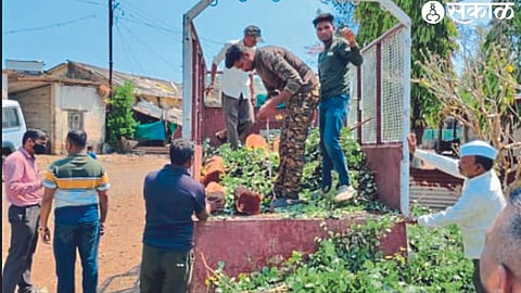 Khair and transport vehicle seized in the jurisdiction of Forest Development Corporation.