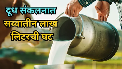 Sangli Milk Collection