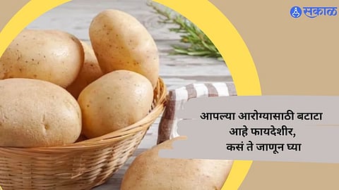 International Potato Day 2024