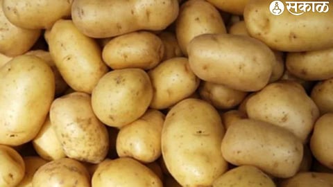 potato