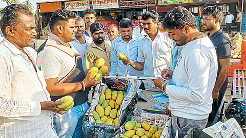 arrival of mango in pandharpur rush to shop on the occasion of akshaya tritiya