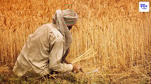 agriculture and economy