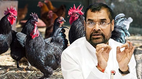 Hatkanangale Lok Sabha Kadaknath Chicken