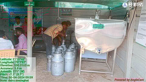 60 percent family animal farming milk business agriculture nagpur