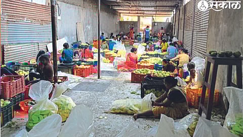Women laborers in peeling and slicing kairi.