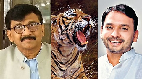 Sangli Lok Sabha Sanjay Raut