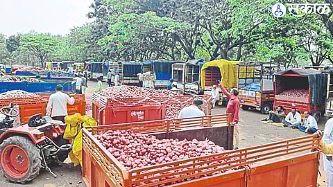 Lasalgaon Onion arrival in the market committee here.