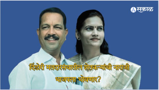 Dindori Lok Sabha Election 2024 BJP Bharati Pawar Vs bhaskar Bhagare key points politics explained rak94