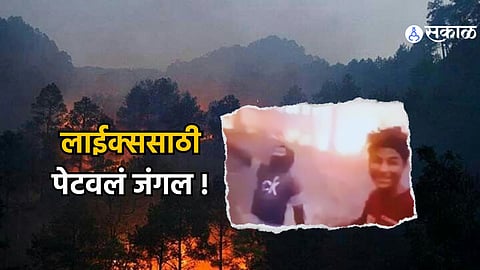 Viral Video: लाईक्ससाठी पेटवलं जंगल ! सोशल मीडियावर आगीचा व्हिडिओ अपलोड केल्या प्रकरणी तिघांना बेड्या