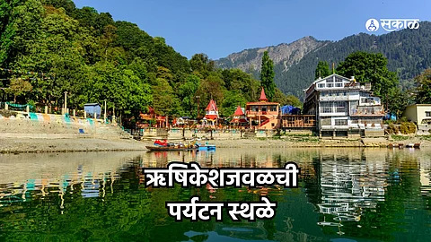 Travel Diaries