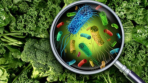 Health Tips to Prevent from Food Poisoning