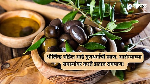 National Olive Day 2024