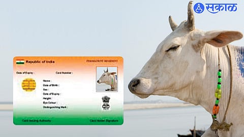 Animal Adhar Card