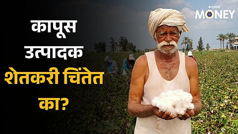 despite good monsoon estimates Cotton farmer and textile industry worried Here's is why