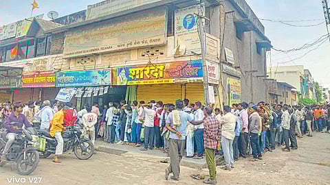 Farmer Line for Agriculture Seeds