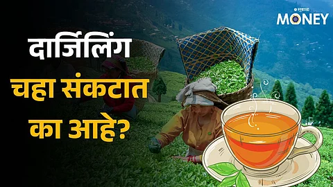 crisis on Darjeeling tea Prices increased but exports decreased, what are the reasons