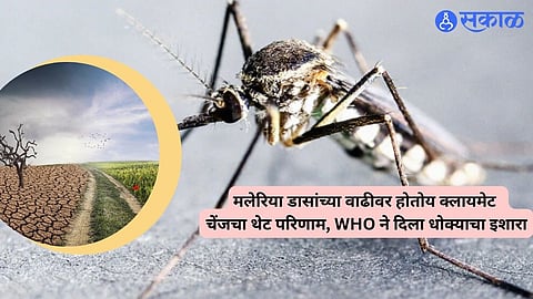 Climate Change On Malaria :