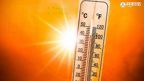 One-fifth of heat victims in India weather forecast raise temperature imd update