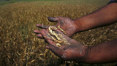 Mangalvedha Crop Damage