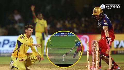 Faf du Plessis Wicket