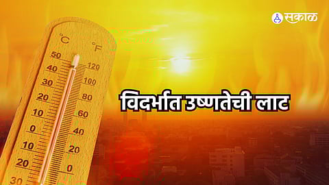 Heat Wave In Vidarbha