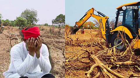 Water News: पाणी टंचाईला कंटाळून मोसंबी बागेवर शेतकऱ्याने फिरवला बुलडोझर