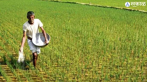 Sowing of kharif on 6 lakh hectares this year