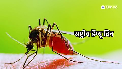 National Dengue Day 2024